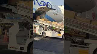 Baggage Loading in the aircraft.