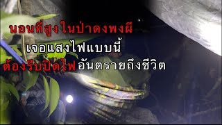 นอนที่สูงในป่าดงพงผีเจอแสงไฟเตือนอันตรายต้องรีบปิดไฟอันตรายถึงชีวิต