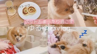 犬と猫とのんびり過ごす日常vlog📷おうちカフェ/韓国の手作りホットック