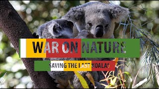 War on Nature - Great Koala National Park