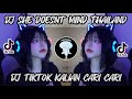 DJ SHE DOESNT MIND TIKTOK REMIX THAILAND FULL BASS DJ YANG KALIAN CARI CARI