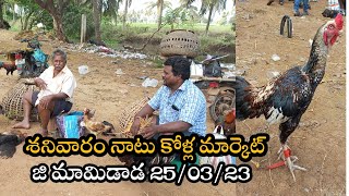 Saturday Nattukolla market || శనివారం నాటు కోళ్ల మార్కెట్ జి మామిడాడ Kollamaket ||25 March 2023