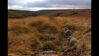 Ffos Gau - a VERY obscure Bronze Age Kerbed/Ring Cairn... near Llangurig, Ceredigion (SO0187 7357)