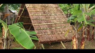 Bamboo A Frame Hut | Day 4