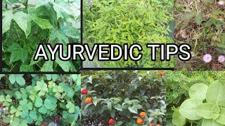 AYURVEDIC TIPS