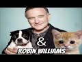 Robin Williams Dogs & Cats