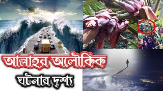 আল্লাহর কুদরতের দেখুন অলৌকিক ঘটনা