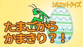 たまごからカマキリ？！  虫シルエットクイズだよん 昆虫 かわいい昆虫│Bugs Quiz │Vocabulary for kids