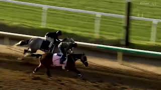 2024 Kentucky Derby & Kentucky Oaks Handicappers' Preview