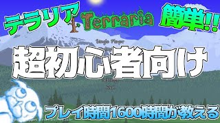 【テラリア超初心者向け動画】 SWITCH、PS4対応､誰でも分かる簡単テラリア初心者指南！ 【釣りはしない堅実ver】