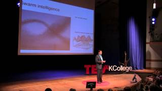 Treating Neurons by the Flock | Tibin John | TEDxKalamazooCollege