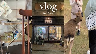 ［vlog］いまなら。キャンペーンで奈良旅行🦌ならまちカフェ/奈良公園/若草山/曽爾高原