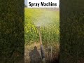 shorts how to spray chemicals on crops viral trendingshorts howto agriculture chemical