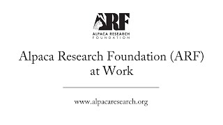 Alpaca Research Foundation (ARF) at Work