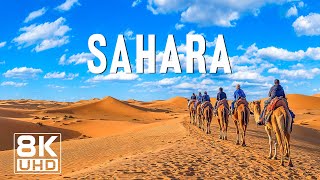 Sahara 8K - Discover the Majestic Beauty of the Sahara Desert