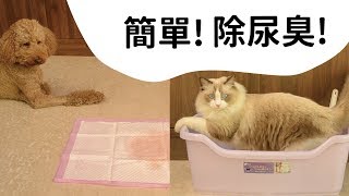 【寵物專用｜除臭噴霧】你知道貓狗排泄成分不同嗎?