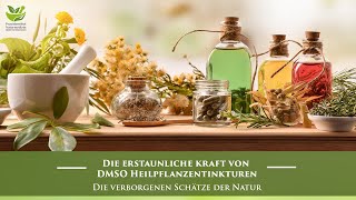 DMSO Heilpflanzen Tinkturen | Dr. rer. nat. Hartmut Fischer