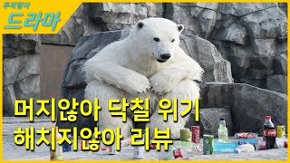 환경파괴와 기후변화 (해치지않아) 가이드 리뷰 해석