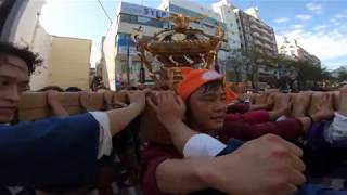 30年   　有馬神明神社　例大祭  本社千貫神輿立派な渡御です迫力満点。