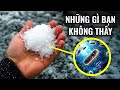 Sự thật về tuyết sẽ khiến bạn bị tê cóng