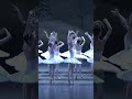 新国立劇場バレエ団『くるみ割り人形』より雪の結晶　national ballet of japan the nutcracker and the mouse king shorts