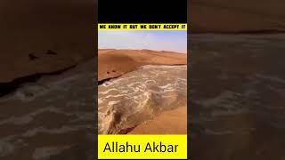 Allahu Akbar 😱 | Allah Ki Qudrat | Viral Video #viralvideo #shortfeed #tranding