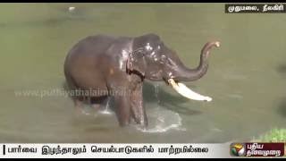 Kumki Tamil Full Movie Kumki Tamil Full Movie