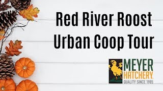 Red River Roost Urban Coop Tour