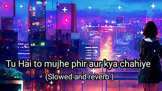 Tu hay to mujhay phir or kiya chahiye song( slowed and reverb) New song 2023 Lofi sad soul