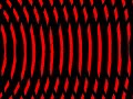 What Is The Speed of Dark?