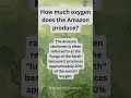 How much oxygen does the Amazon Rainforest produce? #shorts