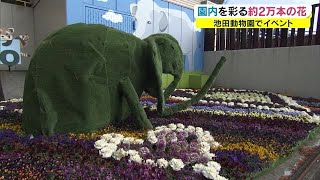 ２万本の花で彩る…池田動物園　フラワーアートに手作りのゾウのオブジェも【岡山・岡山市】 (22/02/25 18:12)