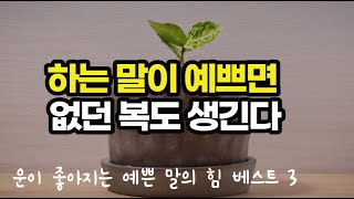 기분 좋은 예쁜 말이 운을 부르고 인생까지 바꾼다  예쁜 말 베스트 3