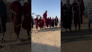 The traditional Adumu Dance that the Maasai perform during rituals (or for tourists!)