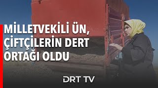 Milletvekili Ün, çiftçilerin dert ortağı oldu