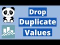Drop / Remove duplicate data from pandas