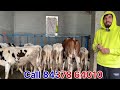 ਫਾਰਮ ਚ 9 ਐਰ ਸੈਰ ਗੱਬਣ ਤੇ ਹੀਫਰ ਵੱਛੀਆਂ ਵਿਕਾਉ 👌🏻bawa dairy farm