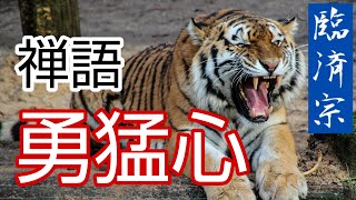 第三十七回 生き抜く力をつける禅語のお話「勇猛心」