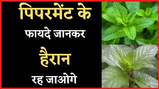 पिपरमेंट के फायदे जानकर हैरान रह जाएंगे | Health Benefits Of Peppermint |Health Tips| Healthy Gyan |