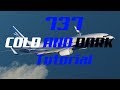 X-Plane 11|Cold and dark/FMC tutorial|Zibo 737-800