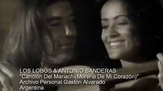 LOS LOBOS & ANTONIO BANDERAS  Canción Del Mariachi(Morena De Mi Corazón)