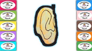 How to Draw an Ear for Kids / Drawing Ear and Coloring