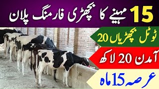 Bachri Farming Plan of 15 Months | Agri and livestock Farming