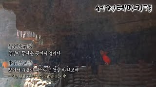 세계테마기행 - Themes Around the World_차이 나는 중국 기행- 명산대첩_#002