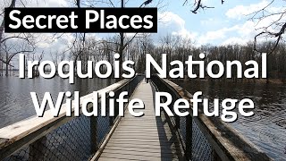 Secret Places: Iroquois National Wildlife Refuge // Kanyoo and Swallow Hollow Nature Trails