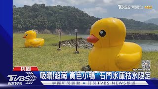 遠眺龜山島!「大福平台」看海景 新打卡點｜TVBS新聞@TVBSNEWS01