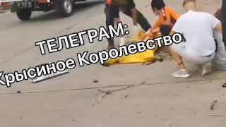 Настя Тропицель погибла/ Разбилась на мотоцикле на Бали/