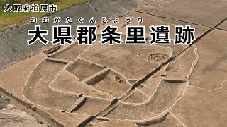 大県郡条里遺跡　調査成果（令和3年度）