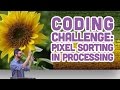 Coding Challenge #47: Pixel Sorting in Processing