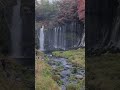 shiraito falls 白糸の滝 japan short video waterfall relaxing